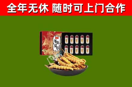崇礼回收冬虫夏草价格