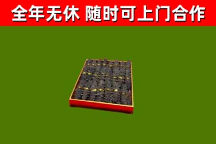 崇礼回收海参